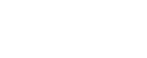 P3rform Logo in all white